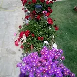 Aparthotel Charalambos Kalavasos