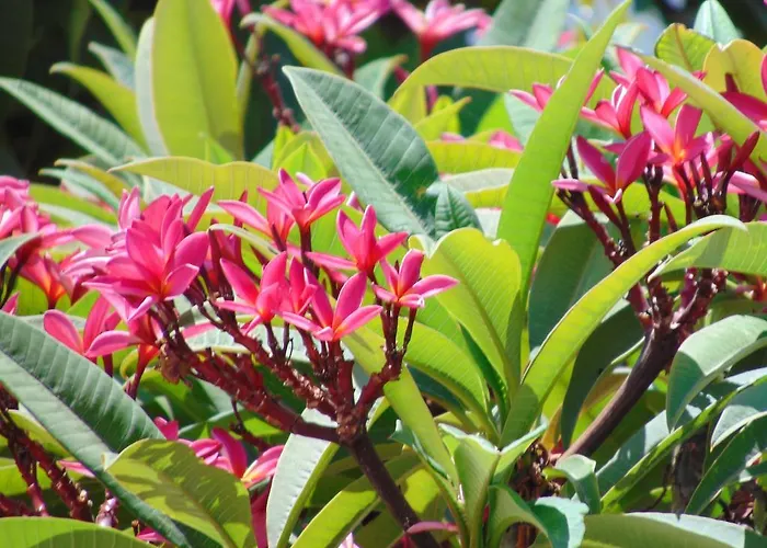 Aparthotel Charalambos 4*