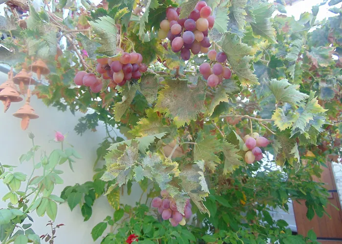 Aparthotel Charalambos 4*