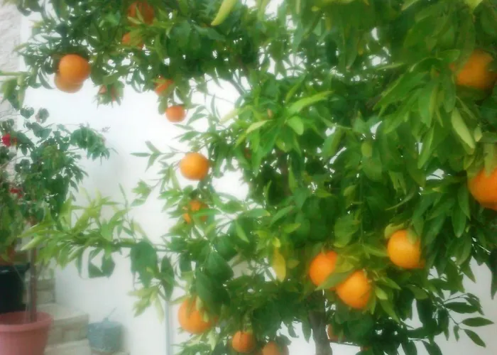 Charalambos Aparthotel