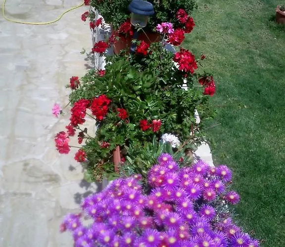 Aparthotel Charalambos Kalavasos