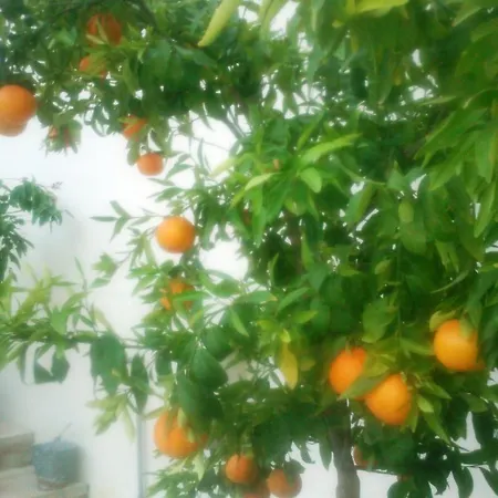 Charalambos Apartmanhotel