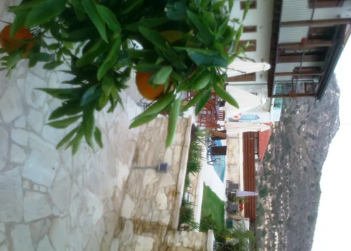 Charalambos Kalavasos